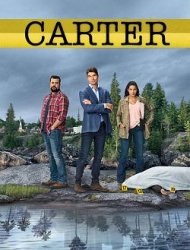 Carter saison 1