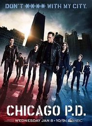 Chicago PD saison 1