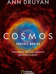 Cosmos: Possible Worlds Saison 1