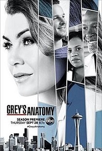 Grey's Anatomy Saison 14