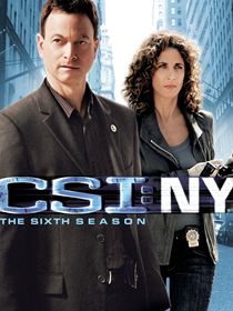 Les Experts : Manhattan saison 6