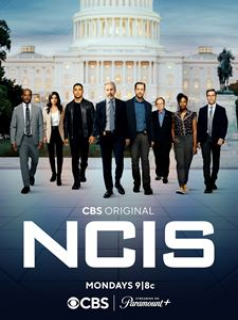 NCIS : Enquêtes spéciales saison 20