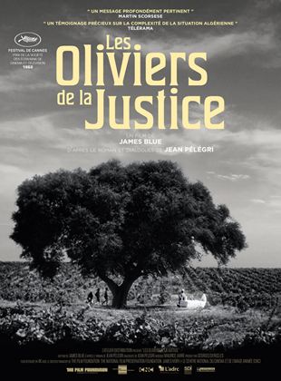 Les Oliviers de la justice