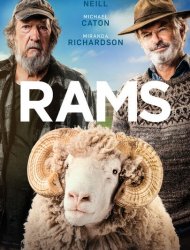 Rams